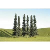 32103 - 3-4" CONIFER TREE 9