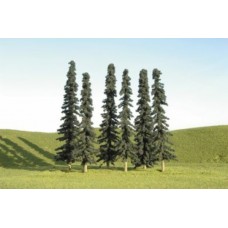 32103 - 3-4" CONIFER TREE 9