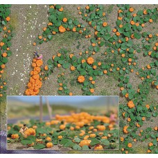 1201 - Pumpkin Field