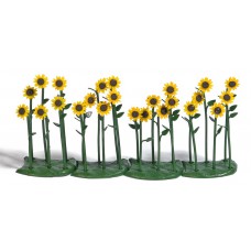 1240 - 24 Sunflowers