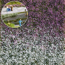 3548 - Flower bush late summer 4 mm