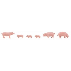 151910 - Pigs