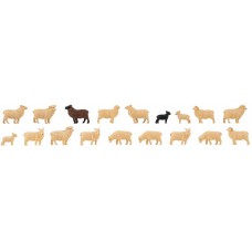 151917 - Domestic Sheep 18 Pieces