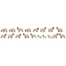 151918 - Black Head Sheep 18 Pieces