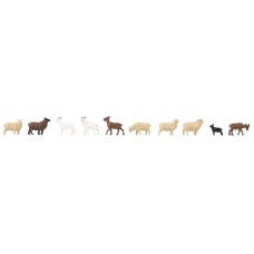 151921 - Sheep And Goats