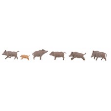 151925 - Wild Boars