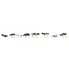 155903 - Cows Black and white