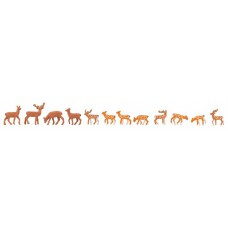 155905 - Fallow Deer Red Deer
