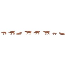 155908 - Allgäu Brown Cattle/Cows