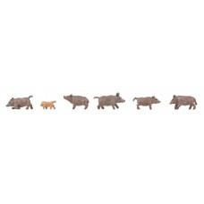 155909 - Wild Boars