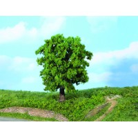 01944 - Chestnut tree 18 cm