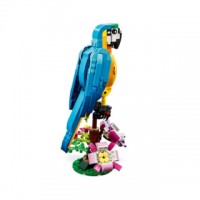 31136 - Exotic Parrot