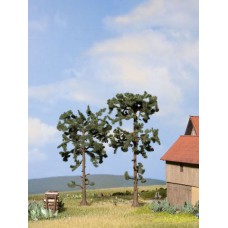 21912 - Pines