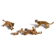 A1949 – Cougars and cubs
