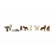 A1971 - Dog Pack