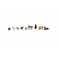 A1972 - Dogs & Cats