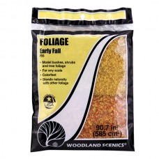 F55 - Foilage Early Fall