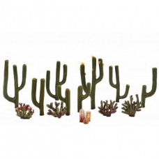 TR3600 - Cactus Plants 12mm - 70mm